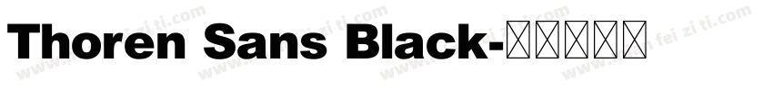 Thoren Sans Black字体转换